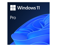 Microsoft Windows 11 Pro OEM DVD PL